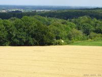 Sommerfest Baumberge 2010 187